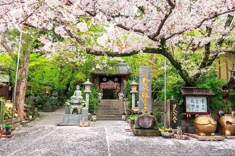 Fukuoka Kyushu Dazaifu, Nyoirin-ji Temple and Yufuin Day Tour