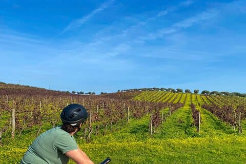Tour en bicicleta autoguiado de 7 días por Portugal w / Hoteles y traslado de equipaje