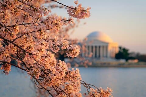 Excursión de 3 días de Chicago a Washington D.C.