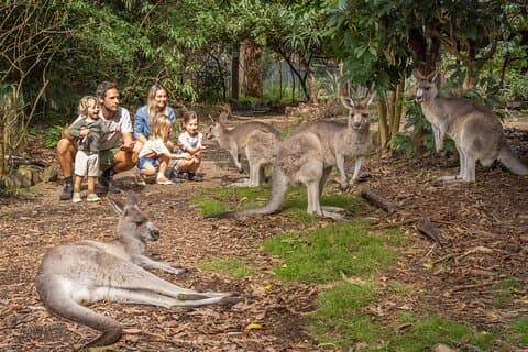 Tour dall'Eden alla Merimbula Wetlands Wildlife and Coastline