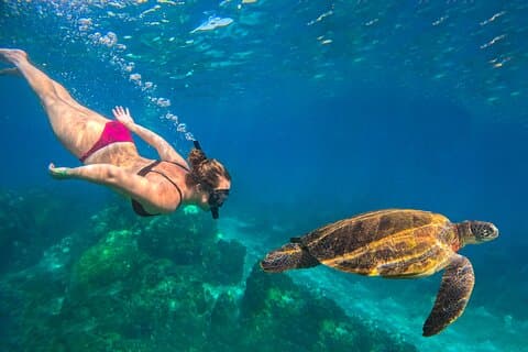 No Rush Mattina e Pomeriggio 5 Stop Snorkeling tour per Koh Tao