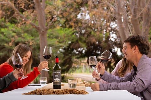Weine, Weinberge und Picknick: der Charme der Mendoza Weingüter