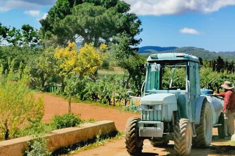 Private Ibiza Weinprobe Tour
