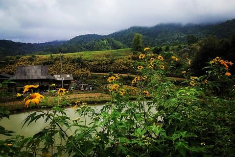 Dien Bien Phu Jeep Expédition 3 jours et 2 nuits d'aventure