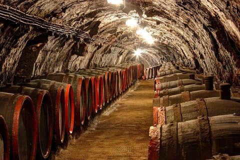 Tokaj Private Tagestour mit Mittagessen und Weinprobe