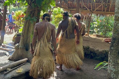 Vanuatu Cultural Village, Waterfalls, Turtles and Blue Lagoon