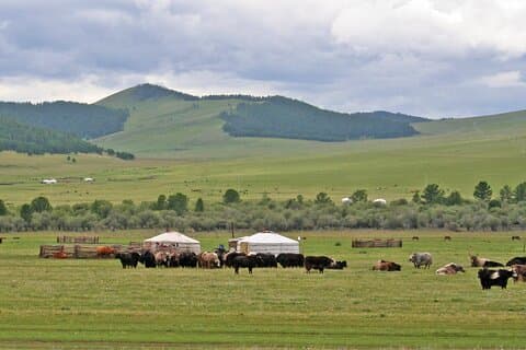 Nomadic Odyssey Mongolia Tour