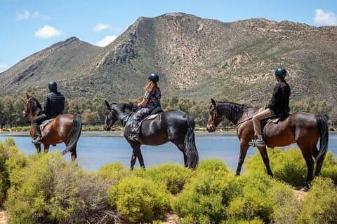 Restauranter i nærheten av Cape Town Big 5 Safari on Horseback Riding at Aquila Game Reserve
