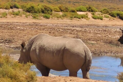 Sunset Aquila Big 5 Game Reserve Safari avec billet et collations