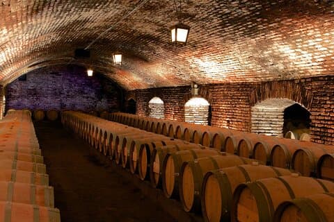 Day Trip Concha y Toro Winery and Tour with Premium Lunch