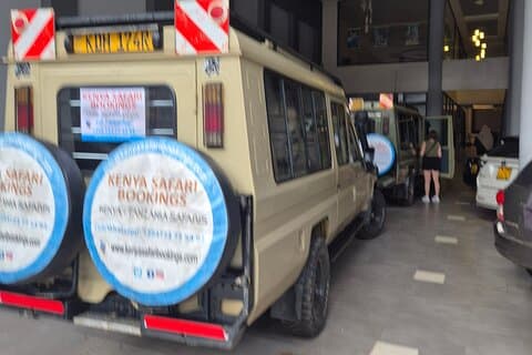 Excursão privada de 6 dias em Samburu, Nakuru e Maasai Mara