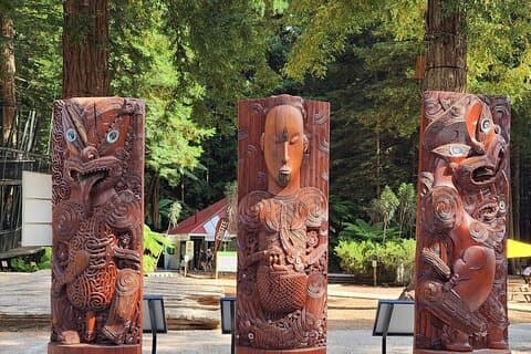 Rotorua Private Tour from Tauranga (up to 18 people)