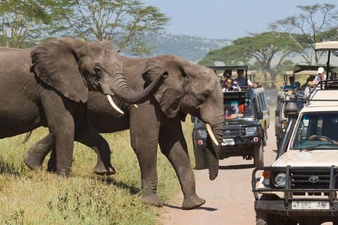 Private 3 Tage Samburu Nationalpark Safari All Inclusive