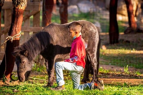 Arzana Visit to a Farm with Tasting