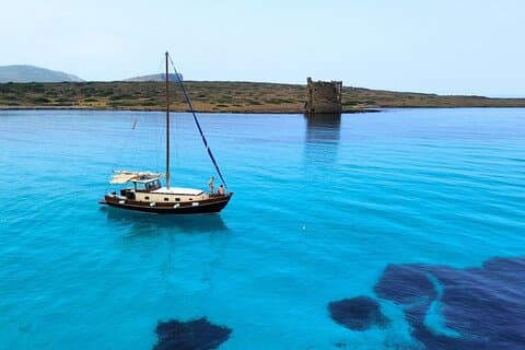 Vanuit Stintino: houten bootexcursie naar Asinara Island