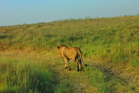 Nairobi Full Day Excursion