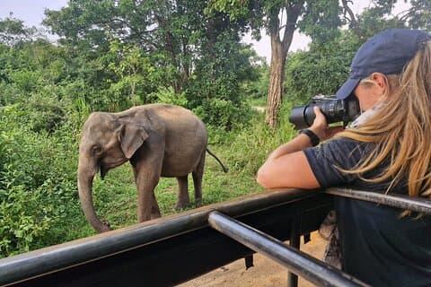 スリランカ5日間野生動物サファリツアー
