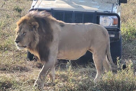 Restauranter i nærheten av Nairobi National Park