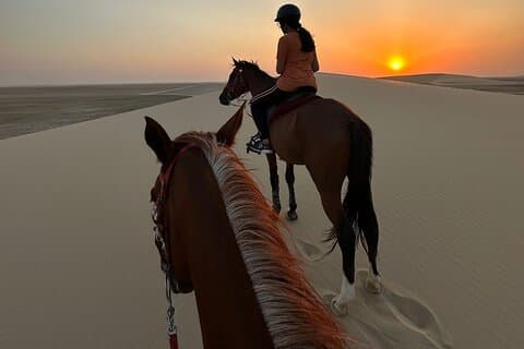 Doha Desert Safari Paseos a caballo, Paseo en camello, ATVs y mar interior