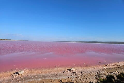 2 dager One Night Tour på Pink Lake Natures vindu og Pinnacles