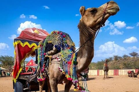 Pushkar kulturelle dagstur fra Jaipur