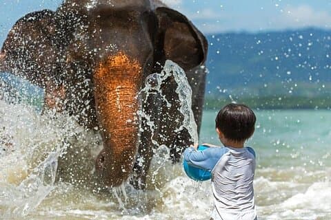 Krabi Immersive Elephant Sanctuary upplevelse