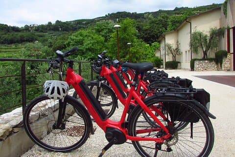 Wine Museum E-bike&Wine