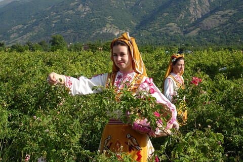 Ganzer Tag ab PLOVDIV im Rose Valley. Naturschönheit & Geschichte