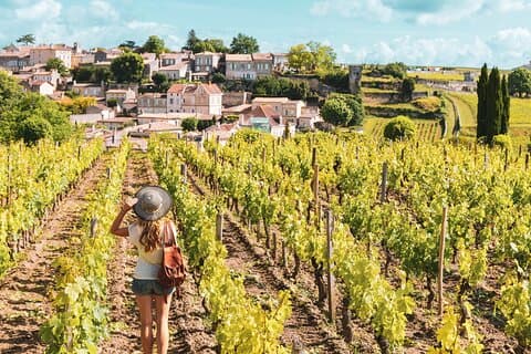 Halvdag med Saint Emilion- og Pomerol-vine