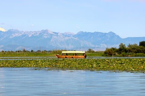 Tour privato del Parco Nazionale del Lago di Scutari con barca in legno e vino