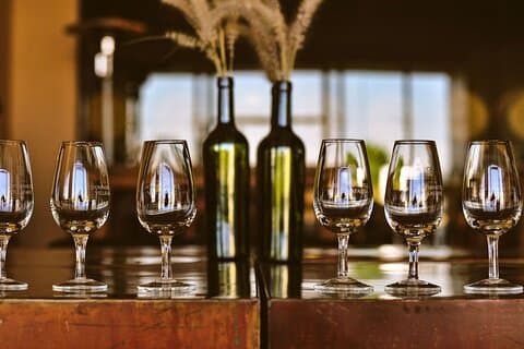 Flavors and Landscapes of Mendoza: Wine and Olive Oil Route