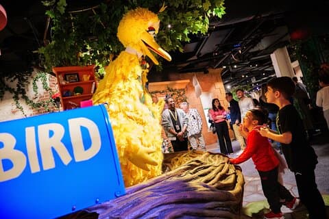 American Dream Sesame Street Apprendre + Jouer Billet