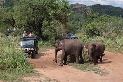 Hurulu Eco Park Safari äventyr