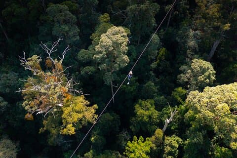 Tour en tirolina de Gold Coast Canyon