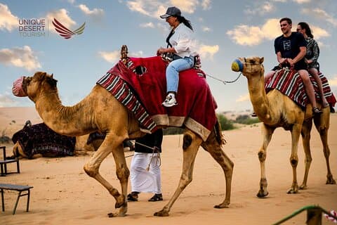 Safari du désert du matin: Dune Bashing, Camel Riding & Sandboarding