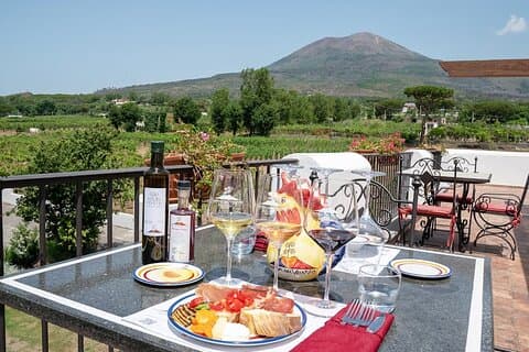 Visita guiada compartida a las excavaciones de Pompeya con degustación de vinos y almuerzo.
