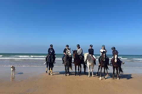 Passeio a cavalo de 1 hora entre a praia, as dunas e a floresta em Essaouira
