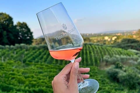 Wine Tasting and Tour in Prosecco Hills