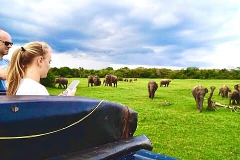 Kaudulla Safari Adventure