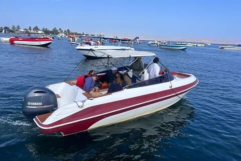 Privat tur Ballestas-øyene og Isla Blanca fra Paracas