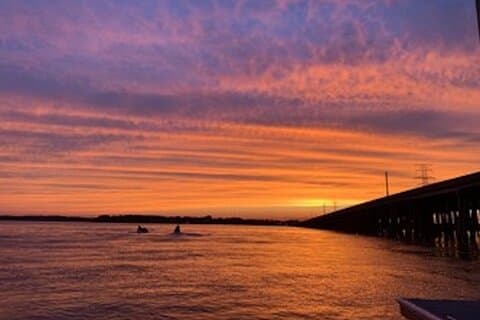Private Hilton Head Sunset Dolphin Tour (Up to 6 Passengers)