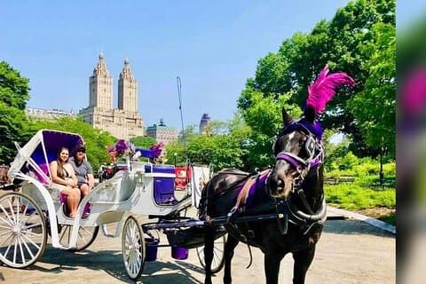 CENTRAL PARK TOUR,Central park sightseeing tours.Flexible Tours