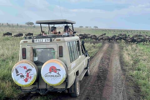 7 Tage Serengeti Wanderungs-Kälbersaison Safari & heiße Quellen