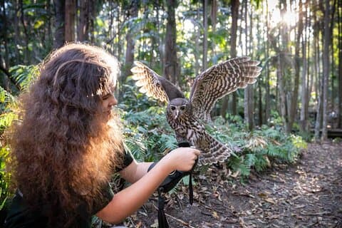 Buderim Forest Flight Owl Encounter and Tour
