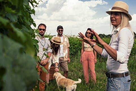Vineyard tour and tasting of 6 Garda Wines with Giovanna Tantini