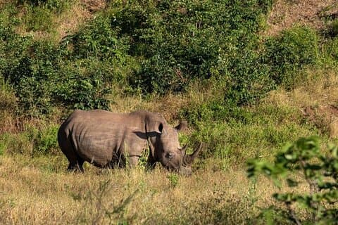 Hoteller i nærheden af Mosi Oa Tunya National Park