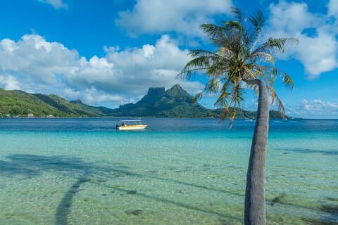 Half a day to discover Bora Bora with O-sea