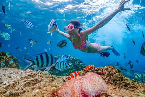 Nemo Island e Big Buddha Mountain Snorkeling de Banguecoque