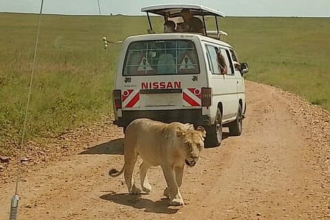 3-dagars Maasai Mara Safari