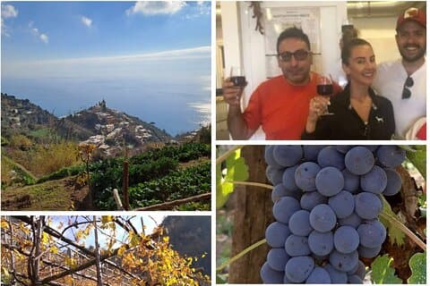 Vinstier fra Positano med smagning